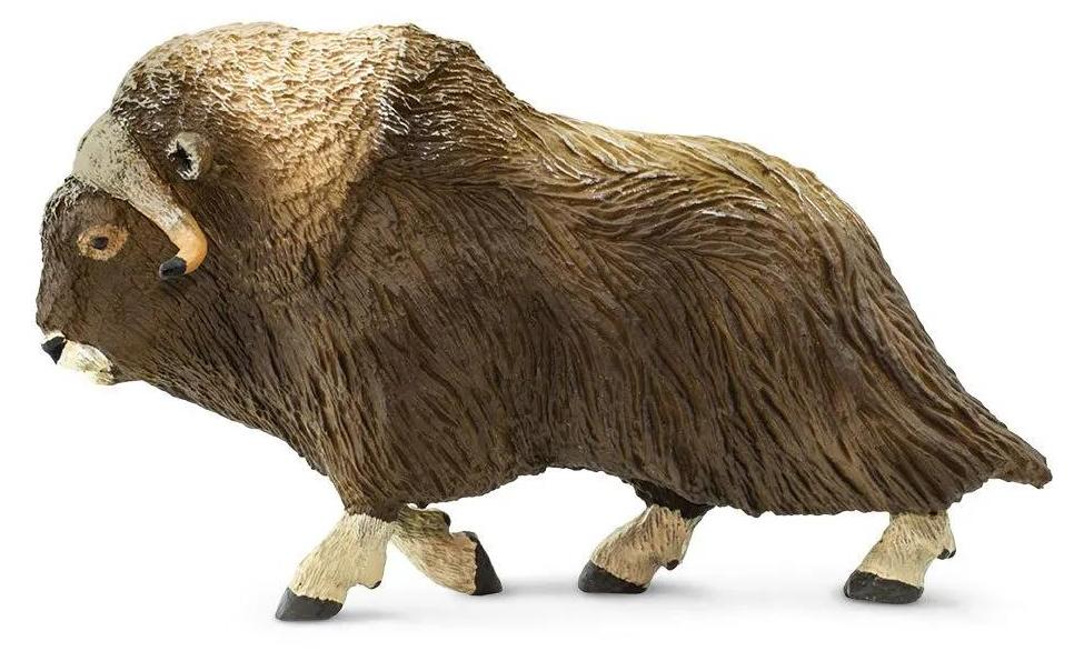 Safari Ltd Moschusochsenfigur Braun From 3 Years Kinder Braun From 3 Years S100095-UNIT