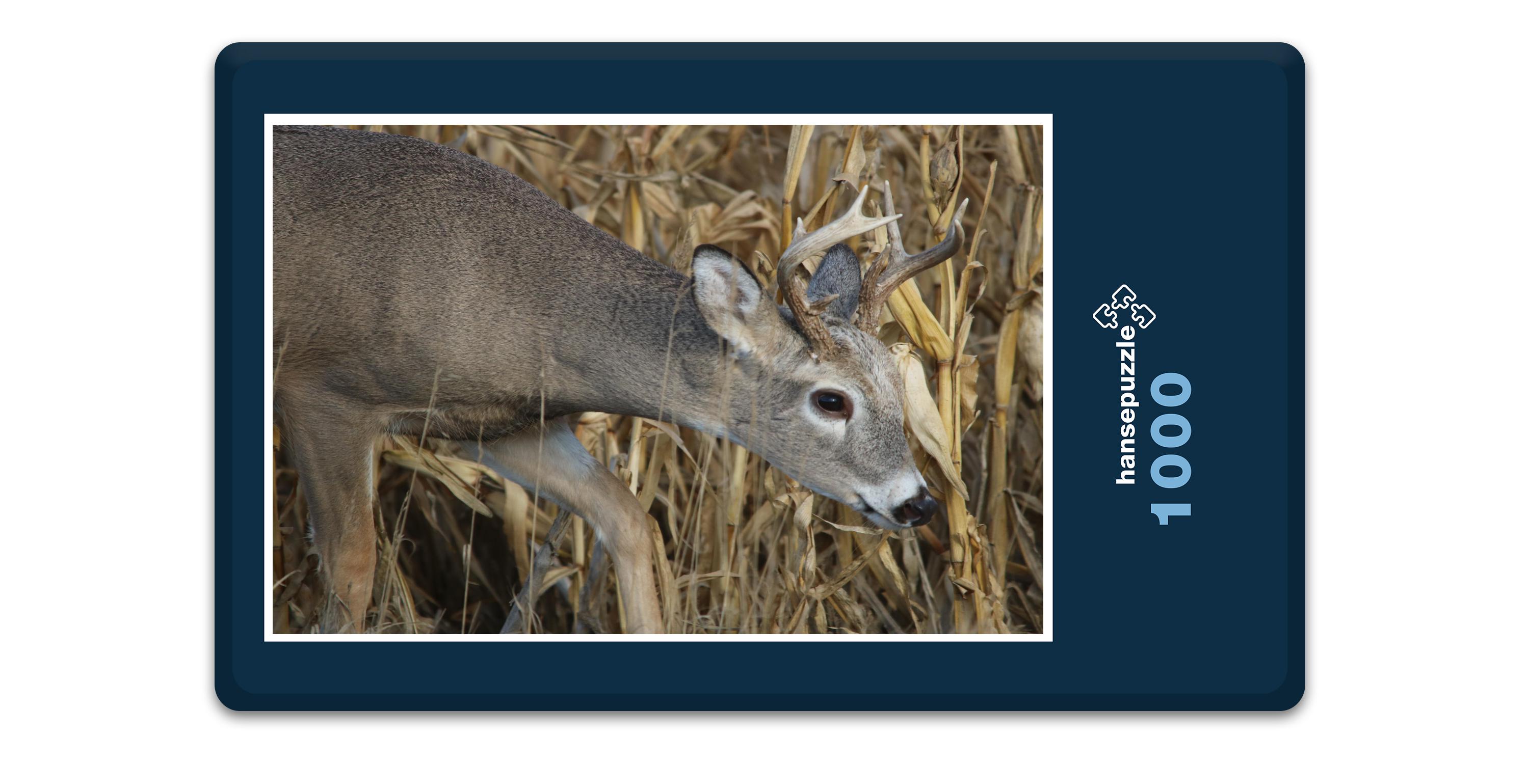 hansepuzzle 19763 - Reh im Maisfeld Puzzle, 1000 Teile, Tierwelt, 60,0 x 46,0cm mit hochwertiger Aufbewahrung, Kartonbox & Beutel