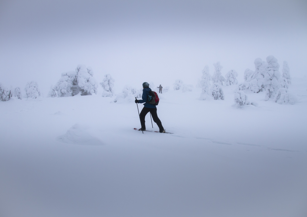 hansepuzzle 70286 - Schneeschuhwanderung Puzzle, 260 Teile, Natur, 41,0 x 28,0cm mit hochwertiger Aufbewahrung, Kartonbox & Beutel 60286