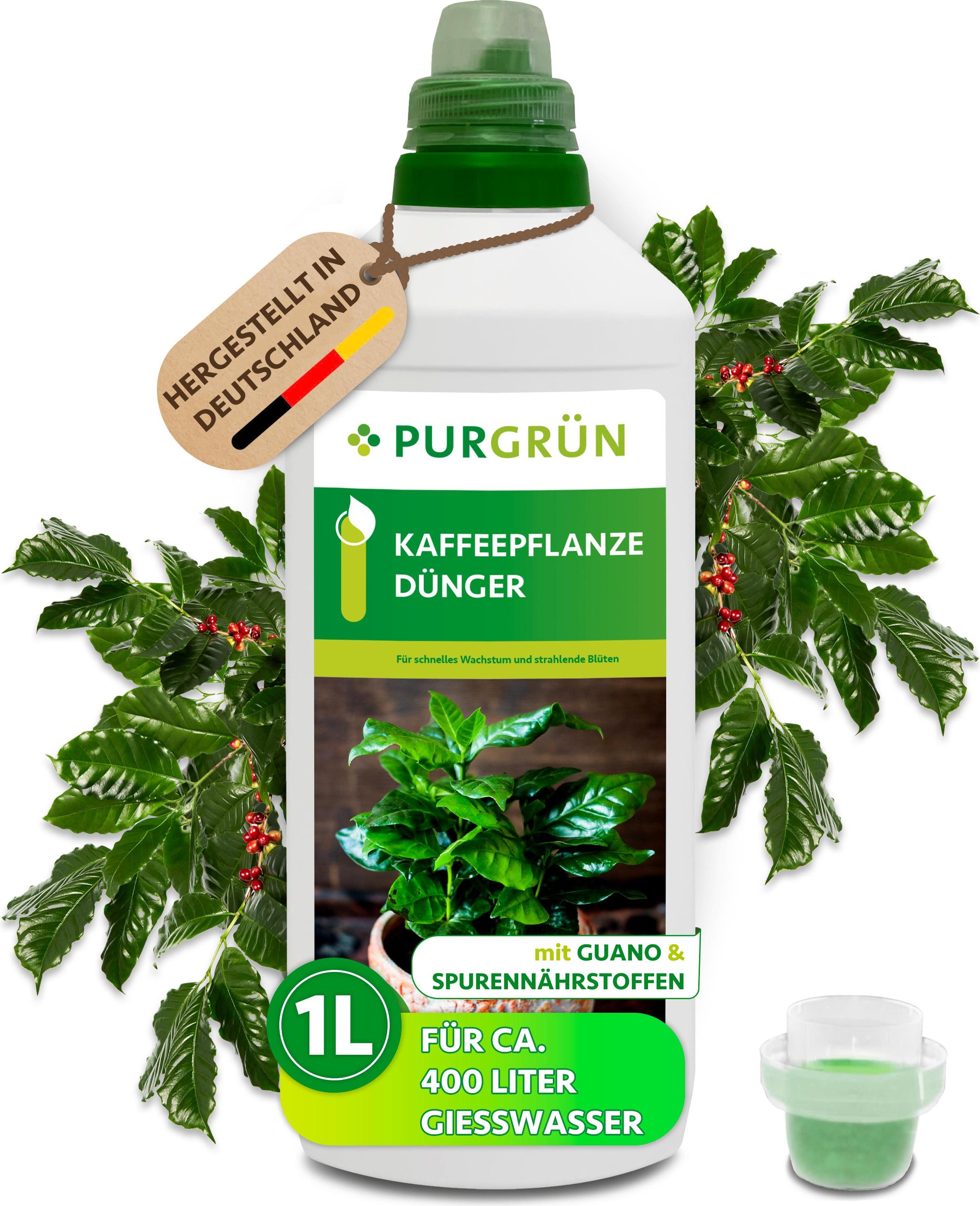 Purgrün Kaffeepflanze-Dünger 1 Liter, 80525-31