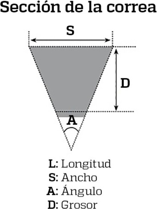 BANDO Premium-Getrieberiemen