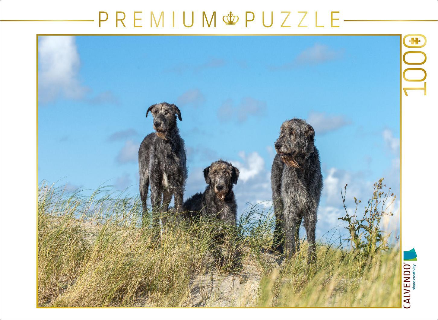 CALVENDO Puzzle Drei Irische Wolfshunde auf einer Düne in Sankt Peter-Ording | 1000 Teile Lege-Größe 64x48cm Foto-Puzzle für glückliche Stunden