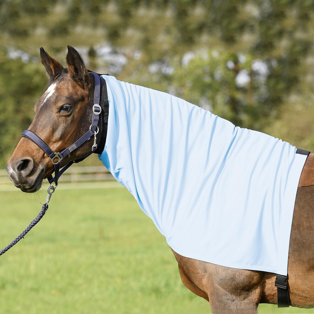 Busse Ekzemer Halsteil EXTENSIVE - hellblau 603010.162.F02.