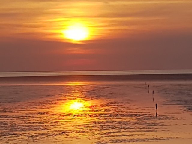 Alubutyl-Kaufen.de Nordseewasser in der 1 Liter Flasche naturbelassen Wellness für die Seele Wasser Meerwasser Nordseeerlebnis Frischluft Nordsee Freiheit Erlebnis Urlaub Urlaubserlebnis Meer Wattwasser