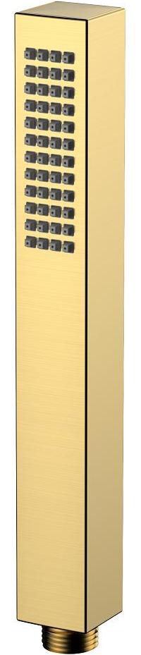 Avapax | Duschkopf Mikrofon 1f - Gold - Einfunktions - Anti-kalk - Ronde Kollektion