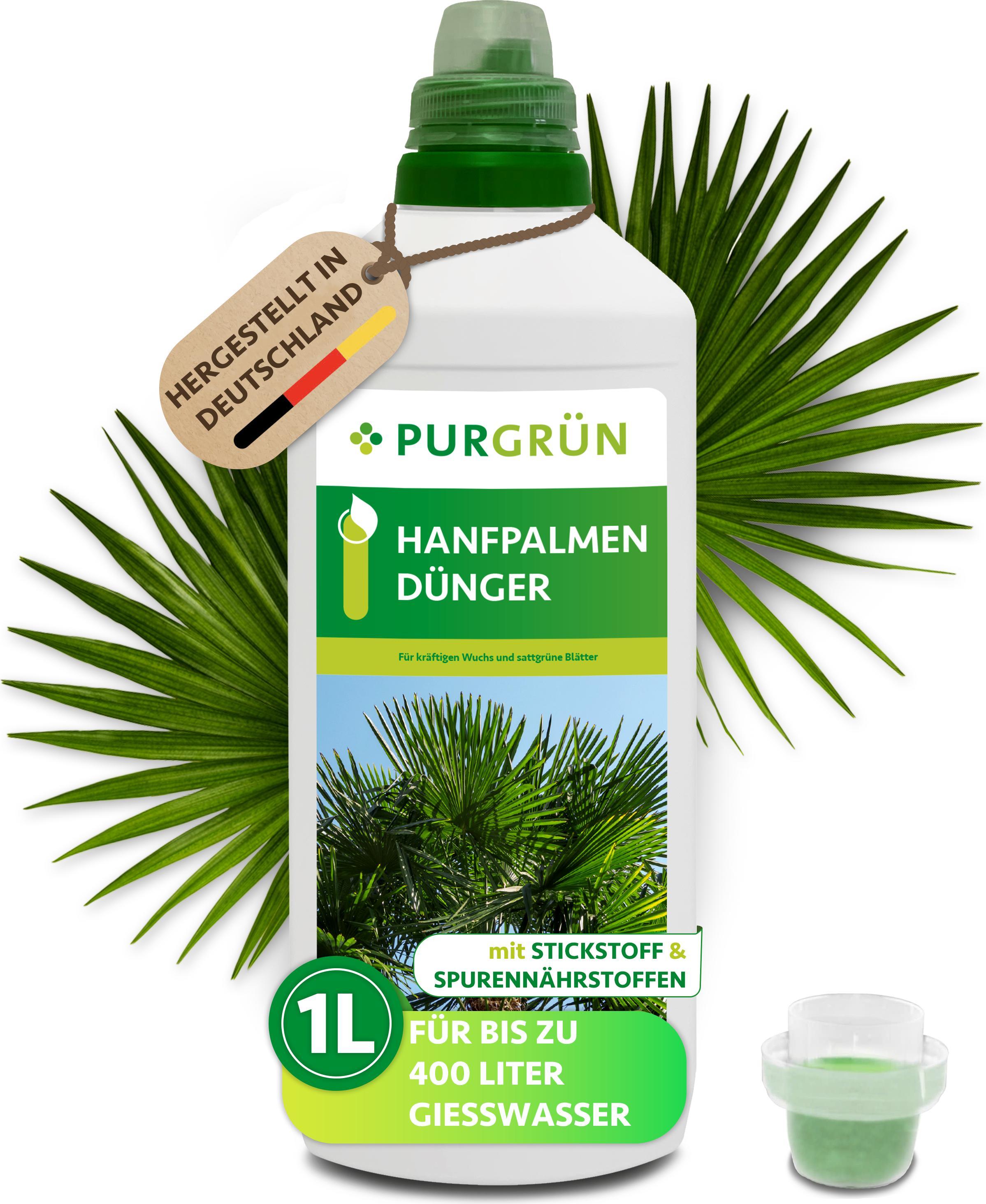Purgrn Hanfpalmen Dnger | Flssigdnger fr Wachstum | 1L