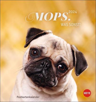 Calendario De Postales Heinz Erhardt 2024 - Humor Alemán Con Frases Divertidas Para Todo El Año