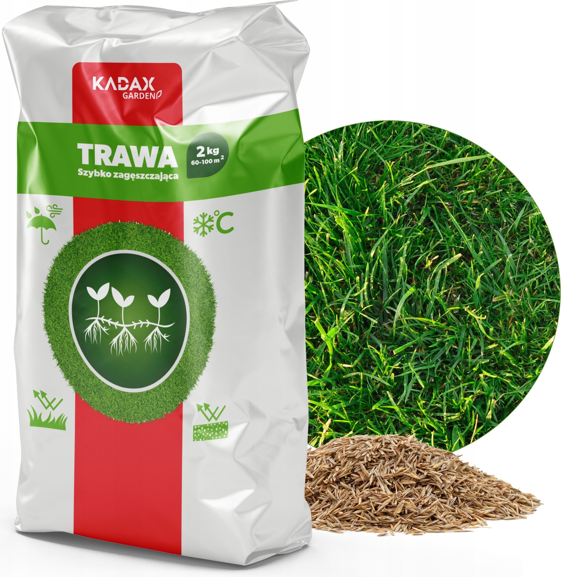 KADAX Rasensamen, Grassamen, schnellwachsendes Gras, Rasenpellets, schnellkeimender Rasensamen K4365