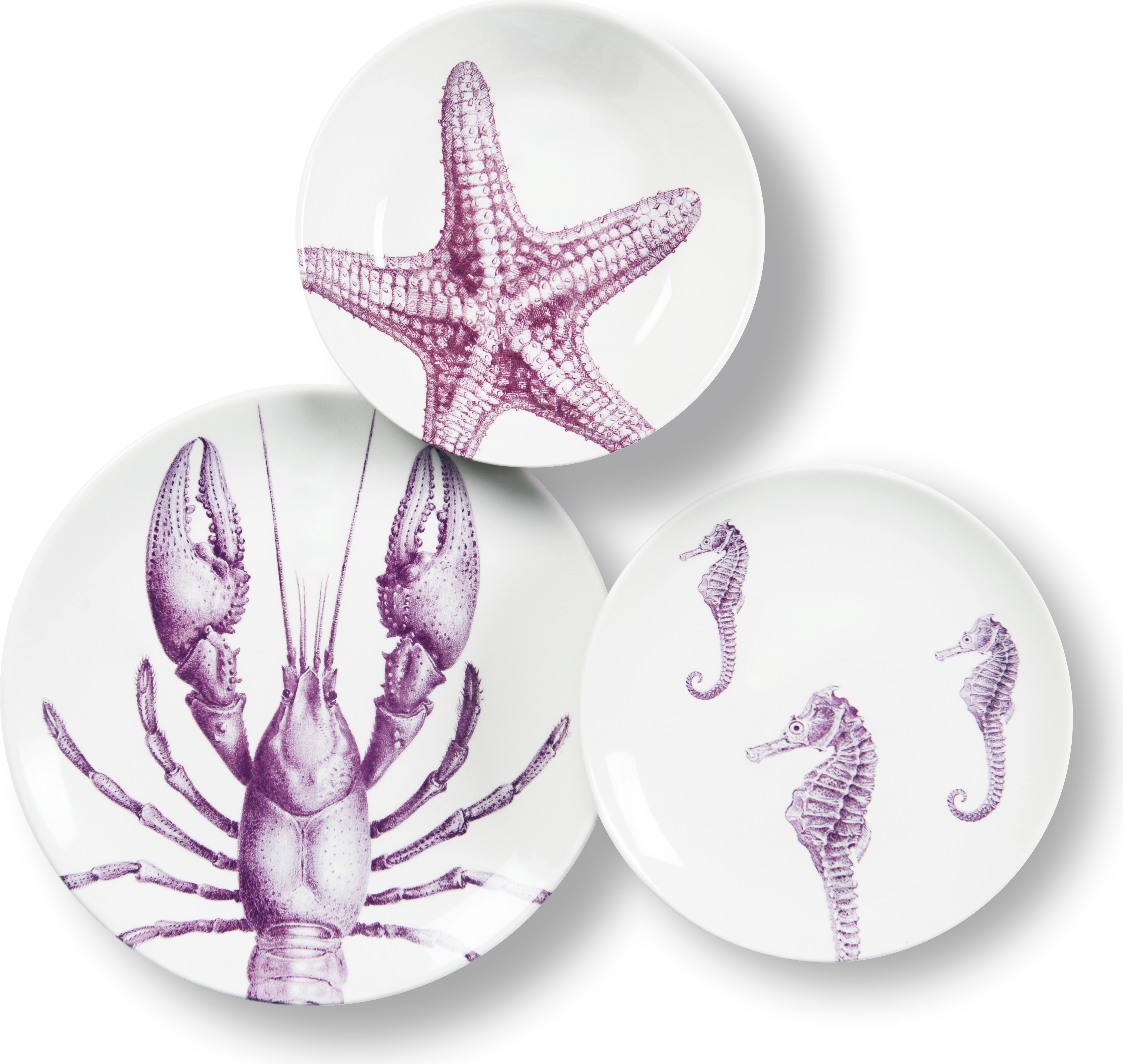 Excelsa - Service 18 assiettes Excelsa Faune & Flore, céramique, multicolore