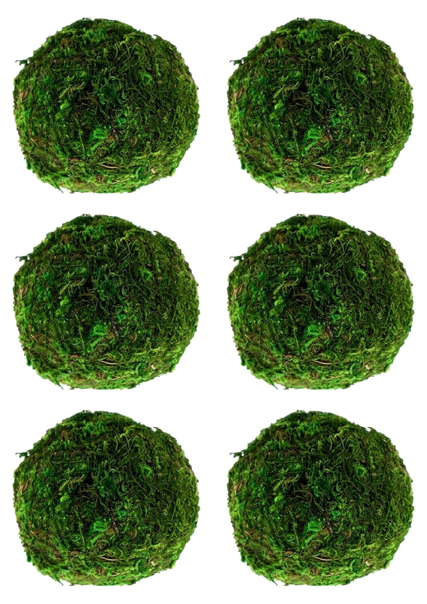 Markenlos Dekorative Mooskugeln aus getrocknetem Moos, künstliche grüne Pflanze, handgefertigte Kugeln, hängende Mooskugeln für Hochzeitsdekorationen, Partys, 8 cm, grünes künstliches Moos, 6 Stück
