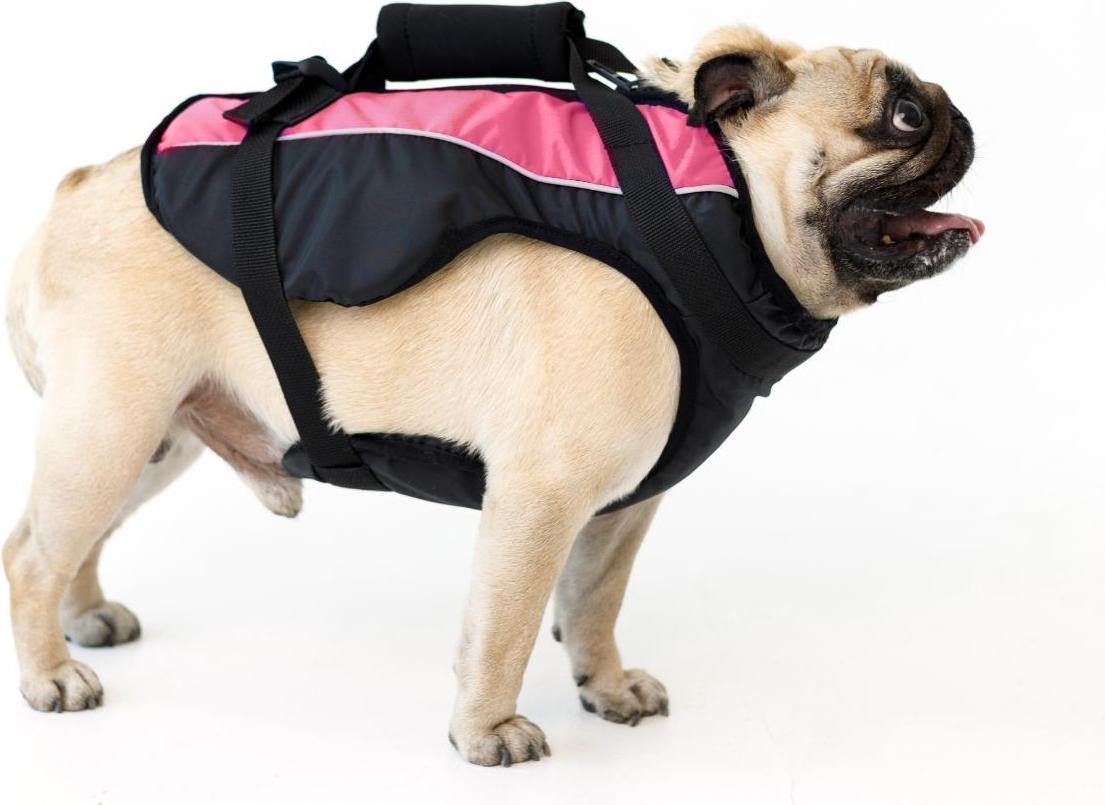 AVA DOGGY Schwimmweste Hund Hundeschwimmweste S Rosa