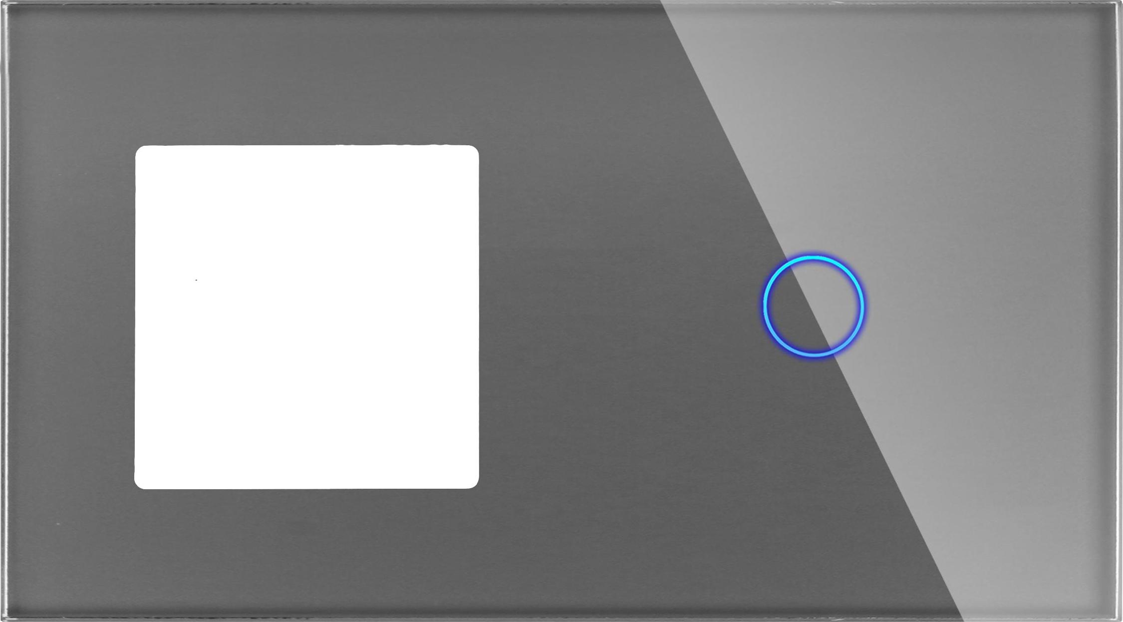 Doppelglasplatte 1F1G Grau DC Smart Home