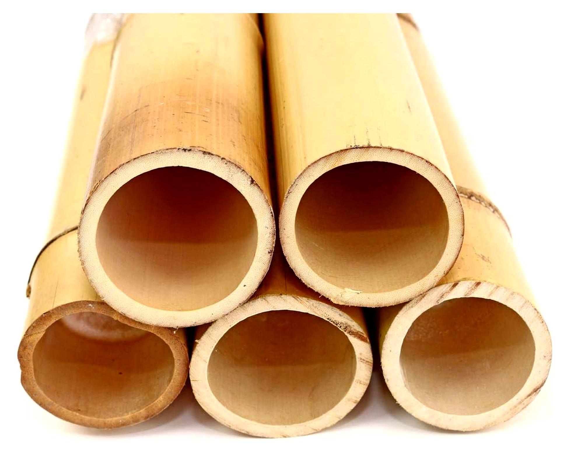 Markenlos Moso Bambusrohr 100cm gelblich mit 7,8-9cm Durchmesser