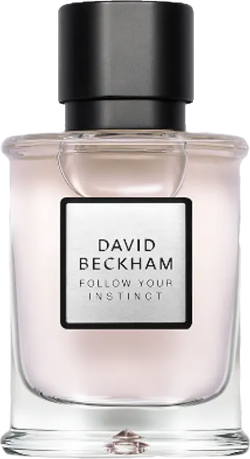David Beckham Follow Your Instinct parfumovaná voda pánska 50 ml