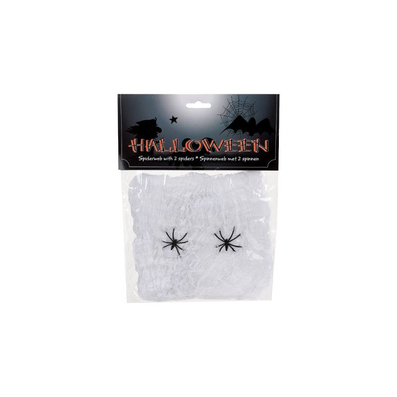 EDM Halloween Spinnennetz mit 2 Spinnen 50x40cm 71795