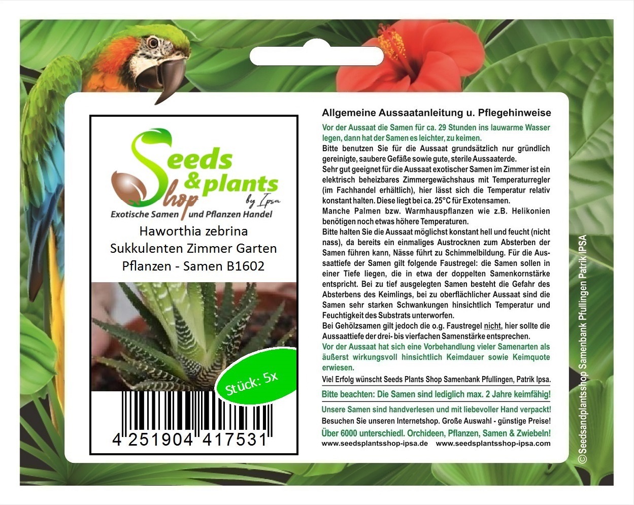 Seeds & Plants Shop by Ipsa 5x Haworthia zebrina Sukkulenten Zimmer Garten Pflanzen - Samen B1602