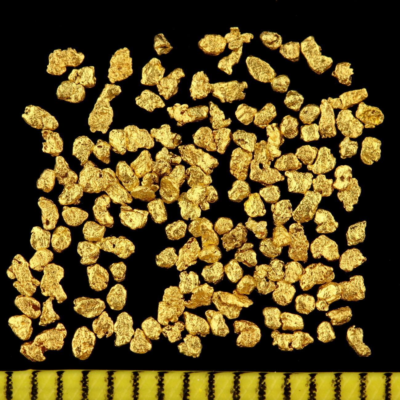 Gold-Fieber 1 Gramm Echte Goldnuggets aus Alaska mit 0,5 - 1 mm inkl. Echtheitszertifikat