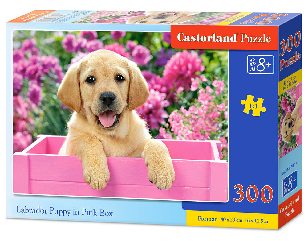Castorland Labrador Puppy in Pink Box Puzzele 300 T B-030071