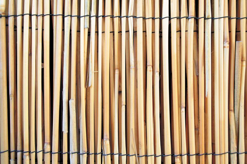Proregal BRB Slim - Sichtschutzmatte aus Schilfrohr | Schilfrohrmatte | Gartensichtschutz für Garten und Balkon aus Schilfrohr | Höhe 1,5 m | Länge 5 m | HxL: 1,5x5 m