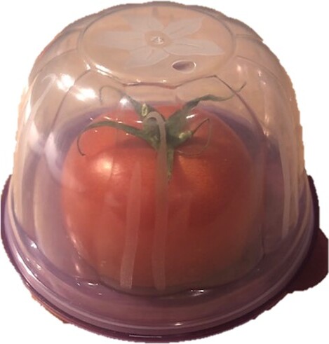 Conny Clever® Tomaten Dose 3er Set auch für Zwiebeln Käse und allen kleinen Produkte geruchslos im Kühlschrank lagern 348