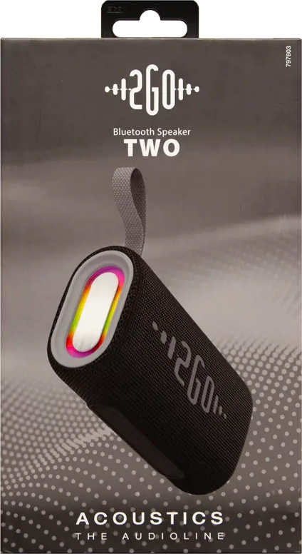 2GO Bluetooth Lautsprecher Acoustic Two mit RGB-Lichtshow 797603