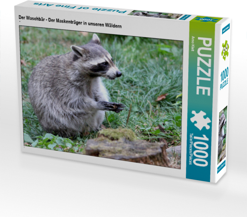 CALVENDO Puzzle Der Waschbär - Der Maskenträger in unseren Wäldern 1000 Teile Puzzle quer | 1000 Teile Lege-Größe 64x48cm Foto-Puzzle für glückliche Stunden