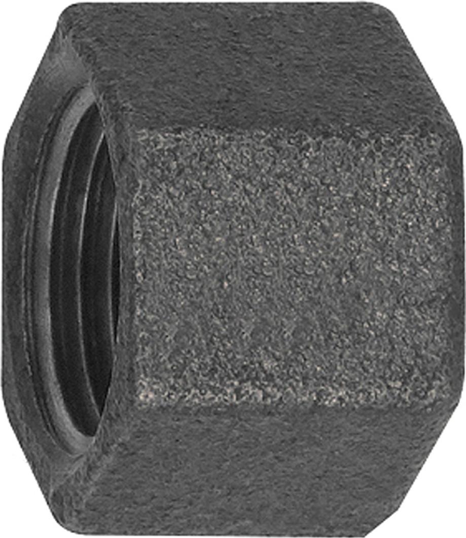 Riegler Kappe 300, Rp 1 1/2 i. Temperguss schwarz TFK 300-112-S