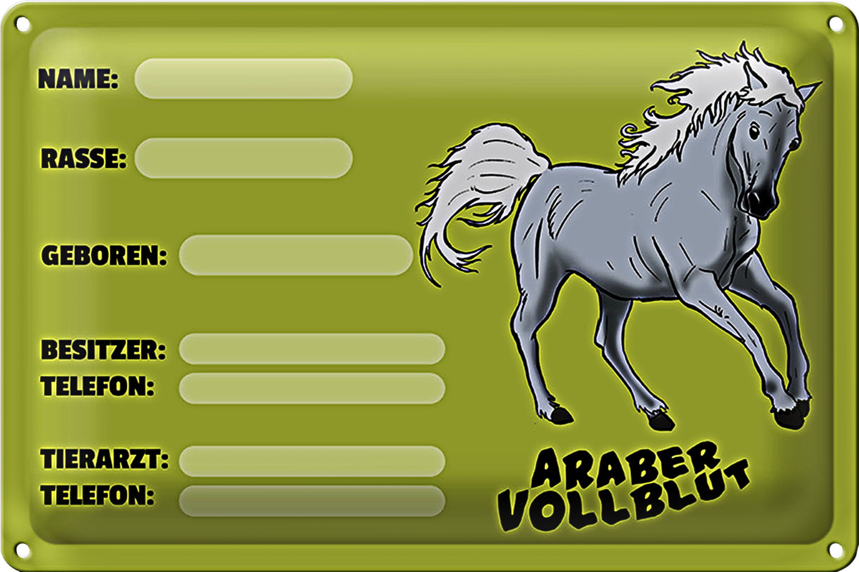 Roomando Blechschild Steckbrief Araber Vollblut 30x20cm Name Besitzer