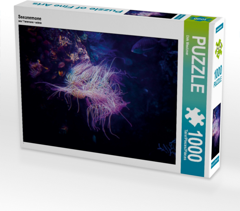 Calvendo Seeanemone 1000 Teile Puzzle quer 640x480mm, Meutzner Dirk; 7312638