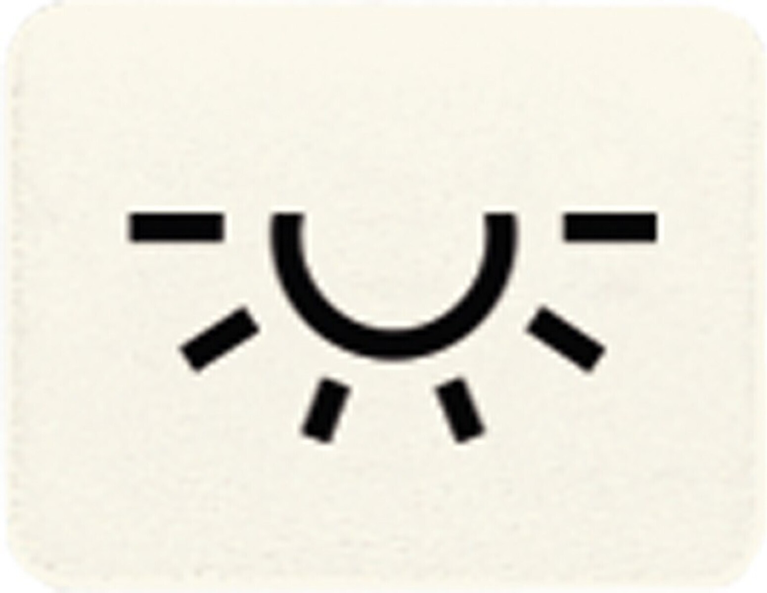 Jung 33L Symbole für CD 500, WG 600, AP 600