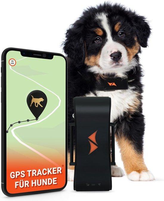 GPS obojok pre psov – 4G – ochrana proti úteku s celosvetovým sledovaním v reálnom čase – úsporný režim – LED svetlo – vodotesný (IP67) – pre každý obojok