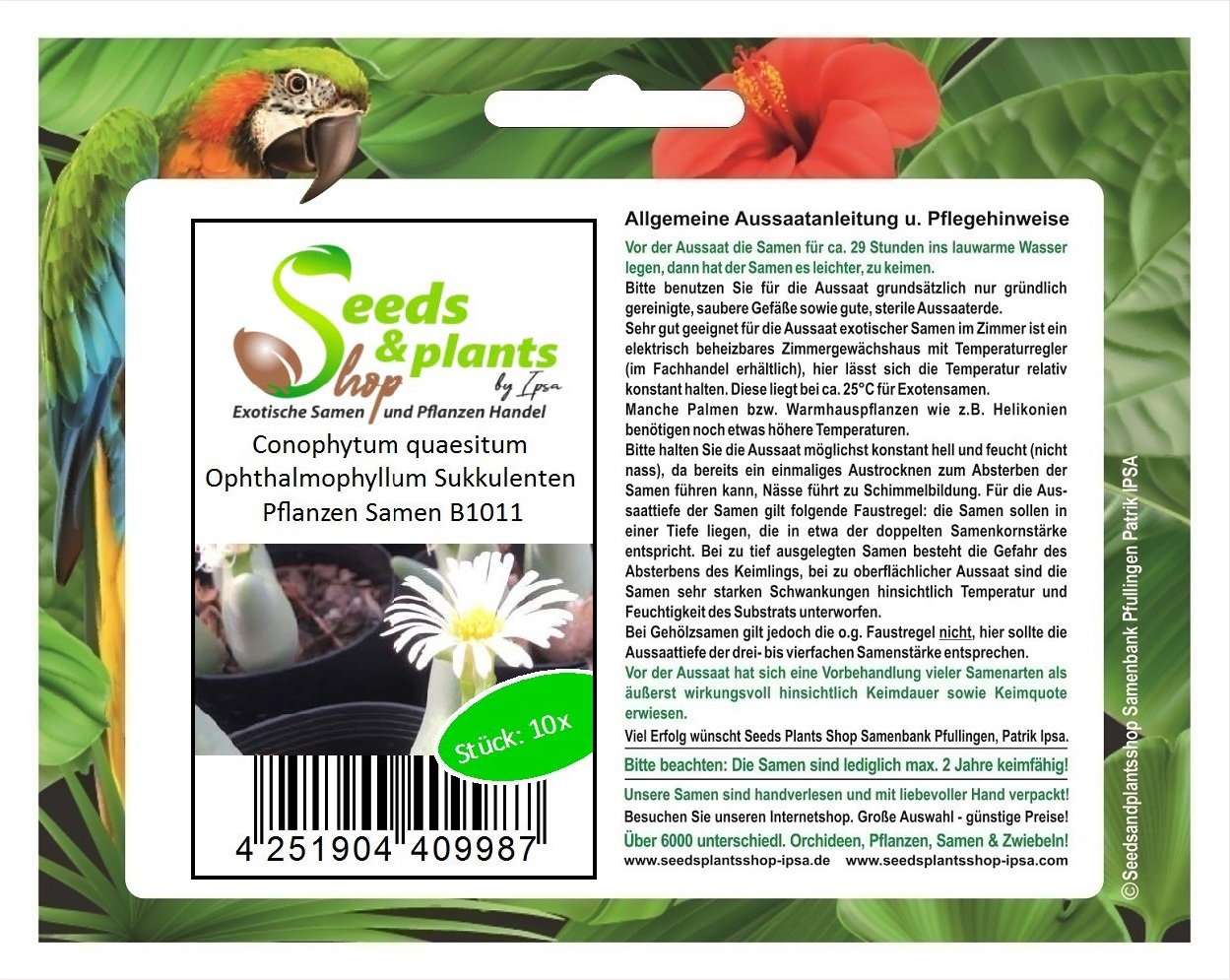 Seeds & Plants Shop by Ipsa 10x Conophytum quaesitum Zwerg Sukkulente Garten Pflanzen - Saat B1011