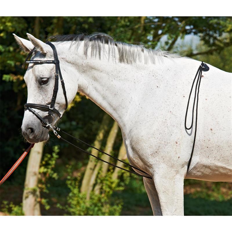 Busse Longierhilfe BUSSE HO, Farbe:schwarz, Länge in m:4.5 BUS-128021.040.016.