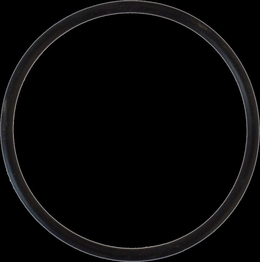 Sanicomfort O-Ring für Heizölfilter 2275856