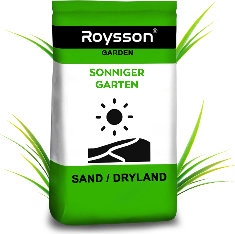 Roysson® 1 kg Rasensamen | Trockenresistenter Rasen für trockene Böden SAND