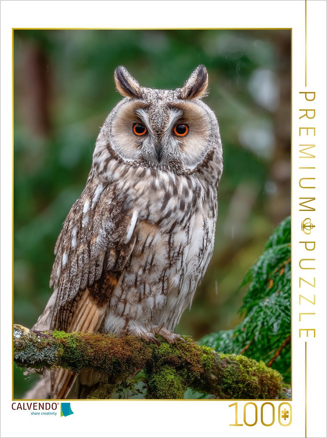 CALVENDO Puzzle Waldohreule im grünen Wald | 1000 Teile Lege-Größe 64x48cm Foto-Puzzle für glückliche Stunden