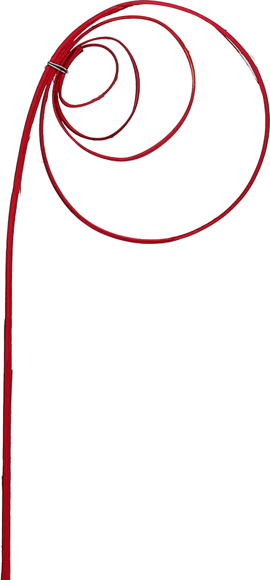 Viana Cane Coil Weinrot Deko Holzspirale 25 St Floristikbedarf, 25 Stück 57561-1687