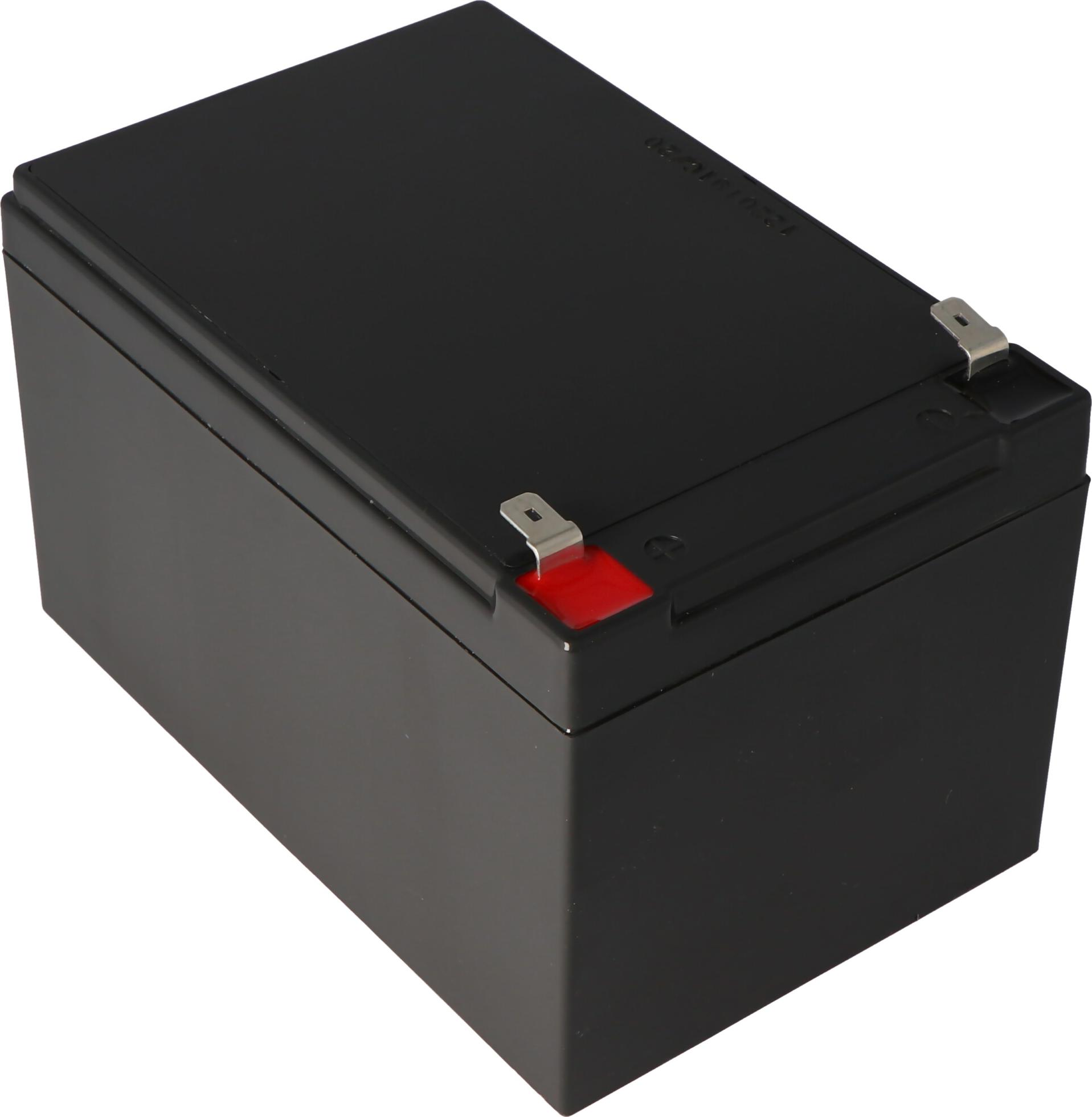 Fiamm FG21202 Akku 12Ah mit 6,3mm Steckkontakten