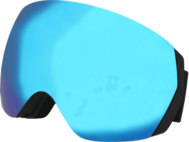 Skibrillen Crullé Win Ski C2