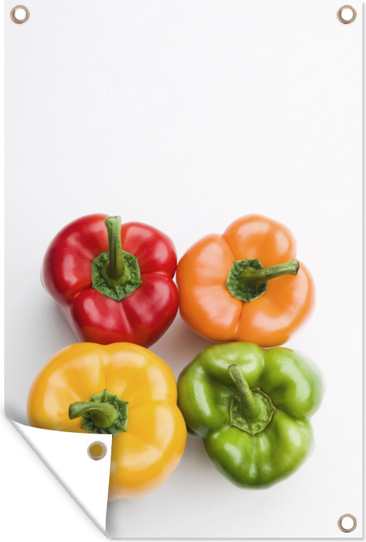 MuchoWow® 60x90 cm Outdoor-Poster Gartendeko Sichtschutz Garten Poster für den Garten Vier bunte Paprikaschoten 133|1299551