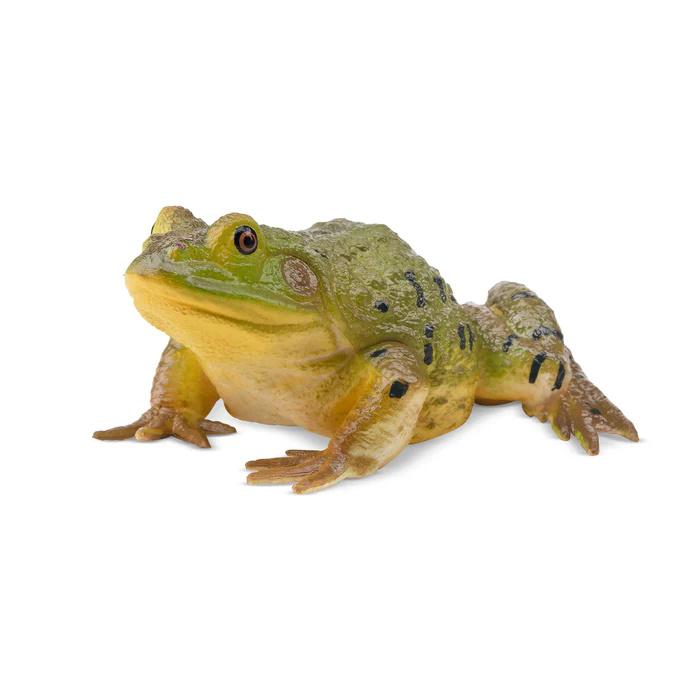 Toymany ML00387 Nordamerikanischer Ochsenfrosch 6,4 cm Reptilienreich