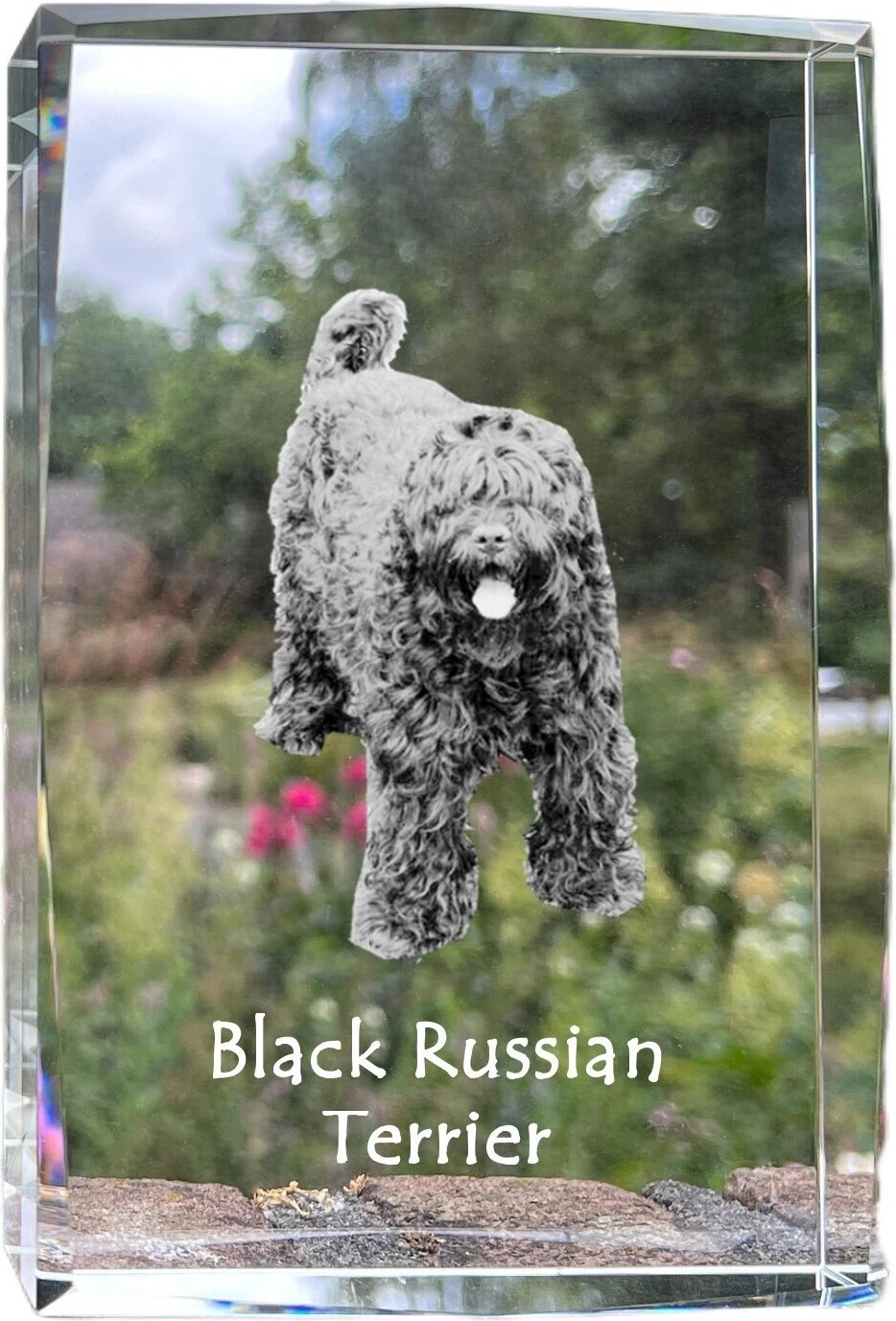 Russischer Schwarzer Terrier, Russkiy Tchiorny Terrier - Kristall mit einem Hundebild, Bild im Glas, moderne Ausstellung des Art-Dog-Bildes.