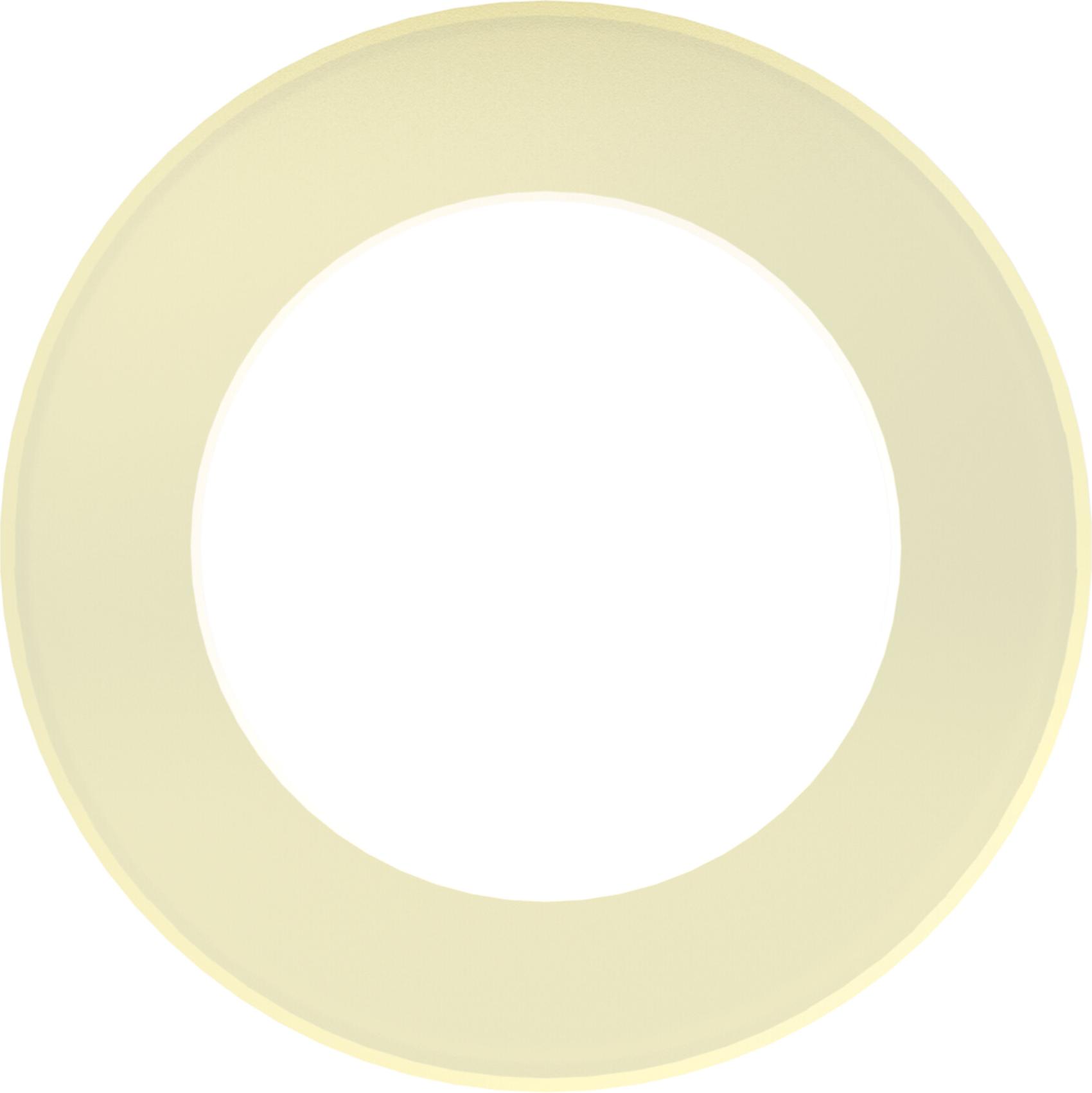 Riegler Anschlussdichtung aus PA, für Flaschendruckregler 300 bar 444.4.942