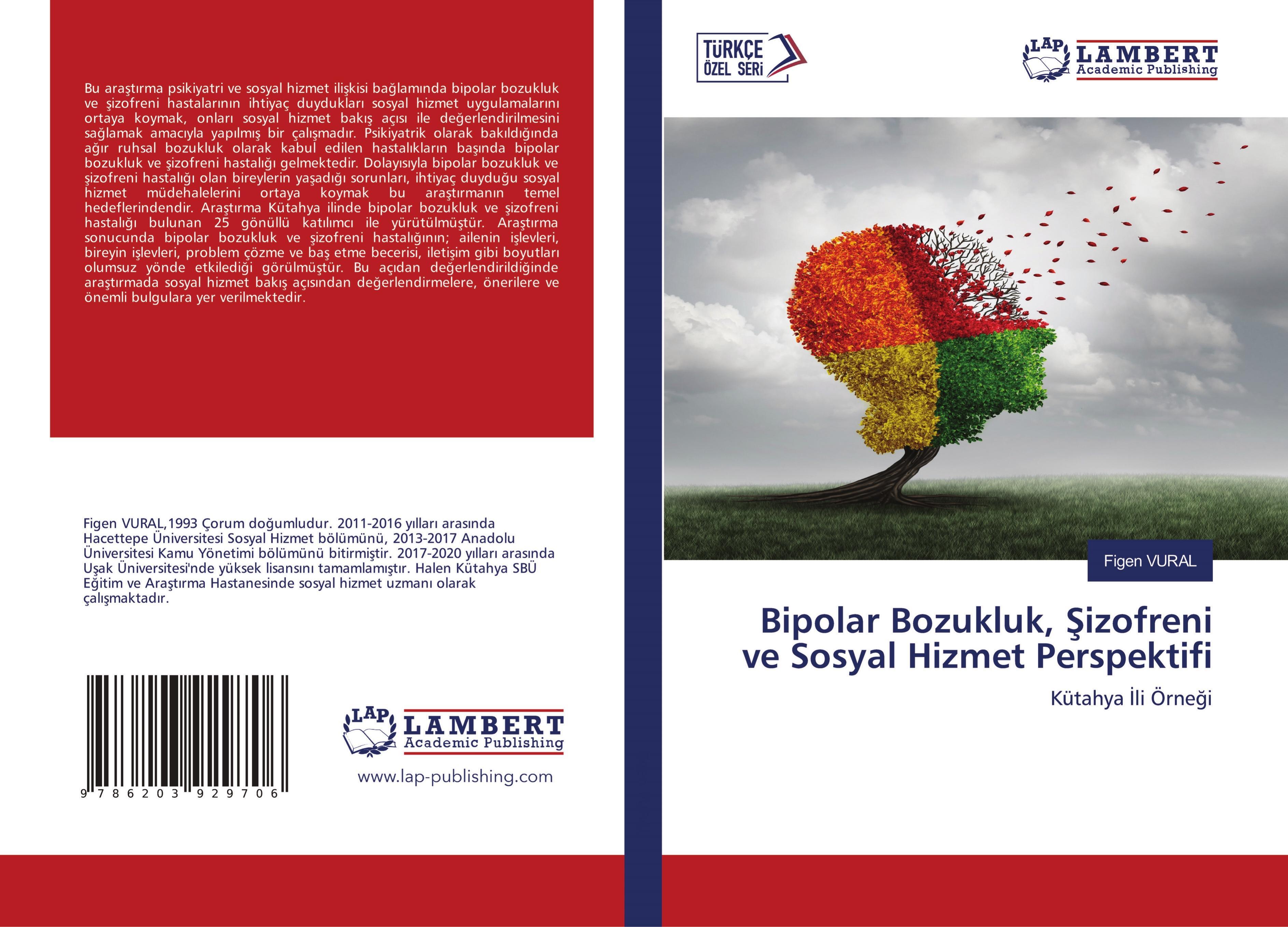 Sonstige Verlage Bipolar Bozukluk, ¿izofreni ve Sosyal Hizmet Perspektifi