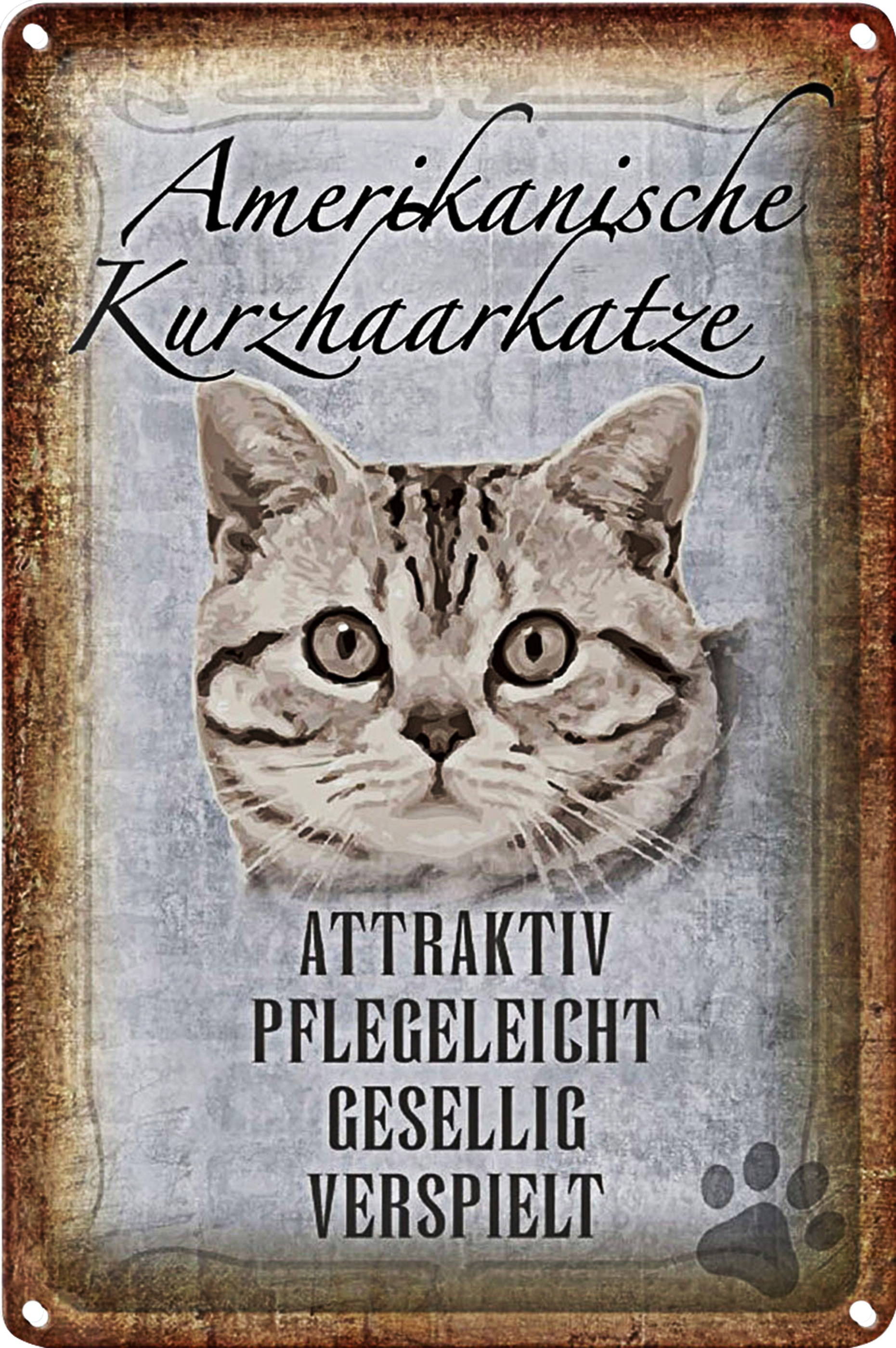 Roomando Blechschild Spruch 20x30cm Americanische Katze Kurzhaar