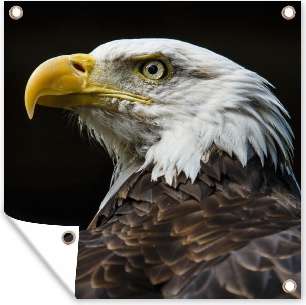 Produktbild MuchoWow® 133|45888896