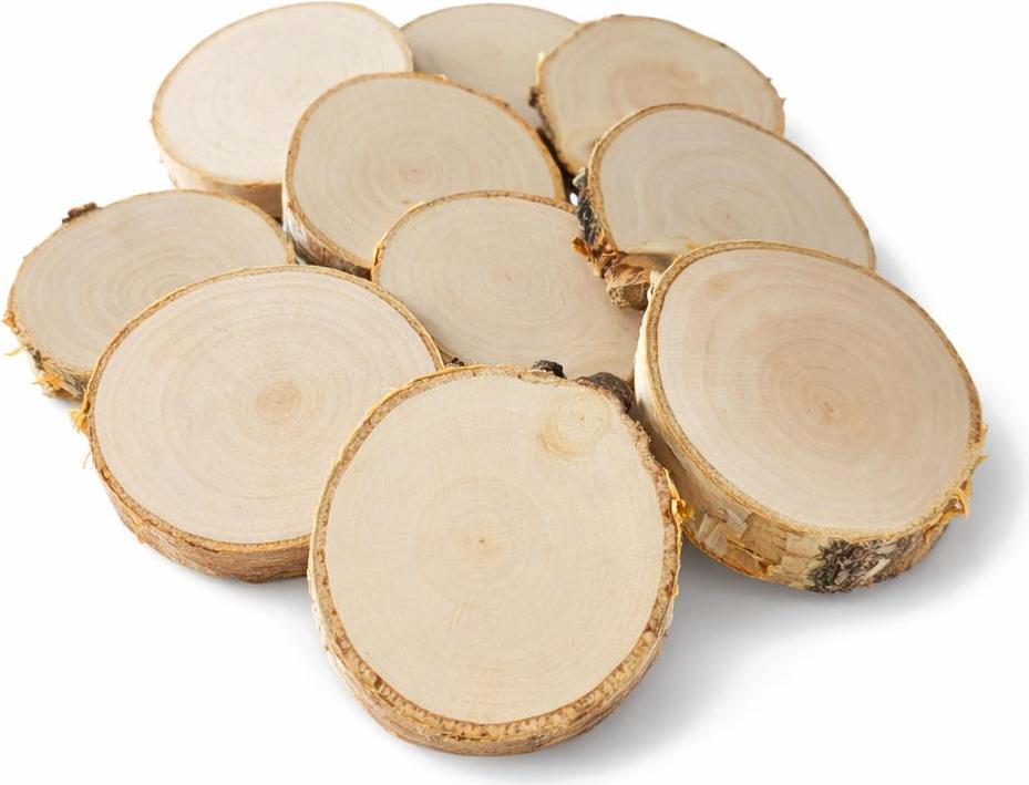 Akademia Drewna Holzscheibe 8-10 / 1 cm Birke geschliffen Set 10 Stück