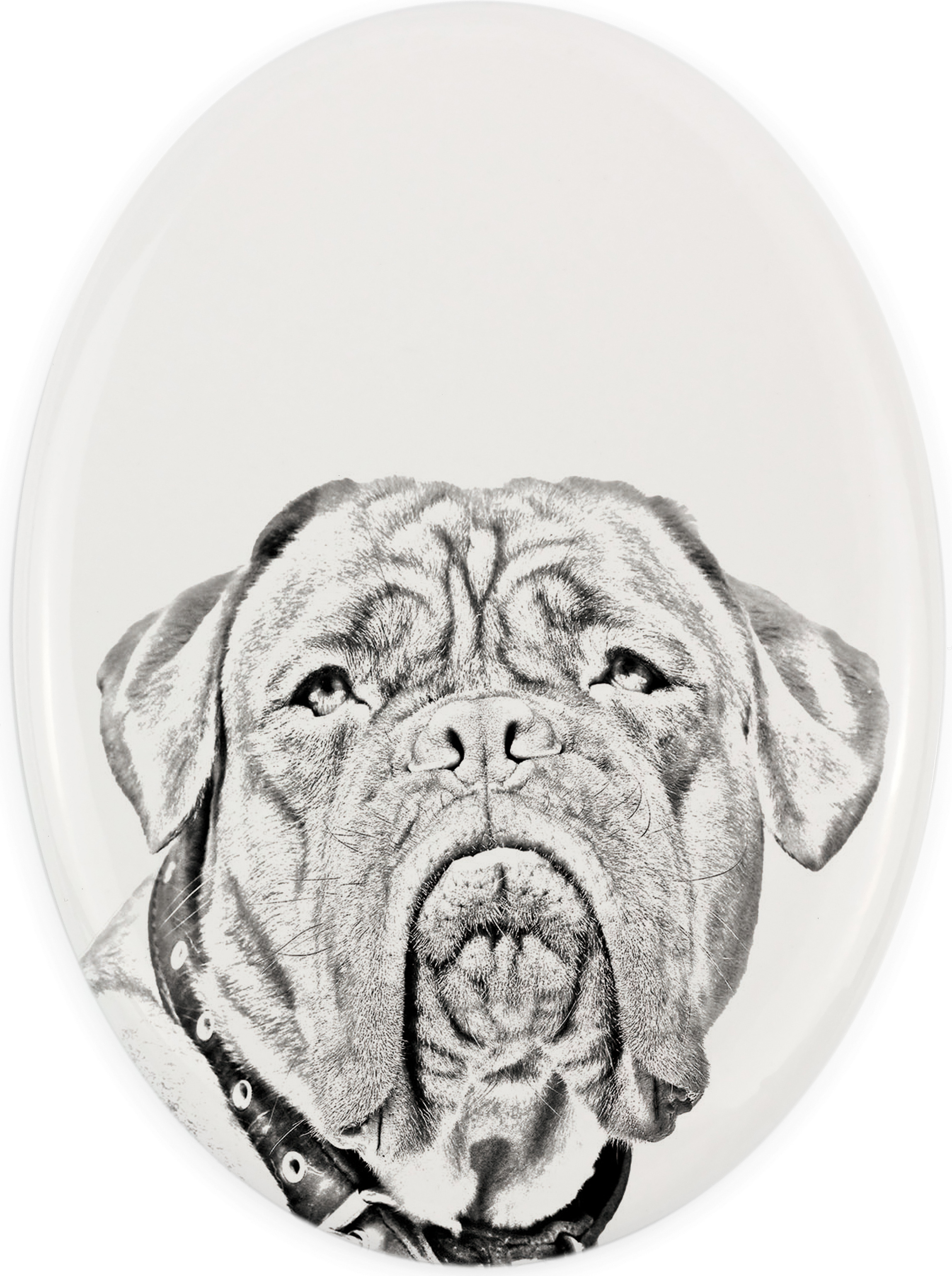 Bordeauxdogge, Dogue de Bordeaux - Gedenktafel mit einem Foto eines Hundes, Grabplatte mit Druck, personalisierte ovale Platte der Marke Art-Dog