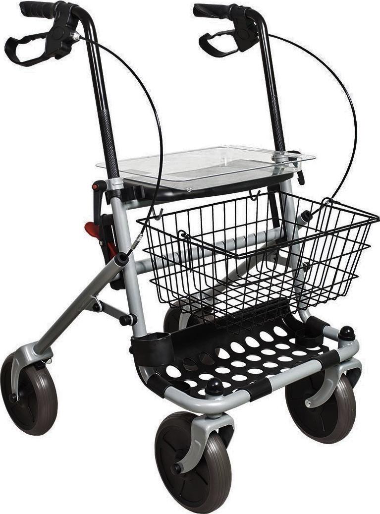 Demarta Virginio Rollator Basic Pieghevole in Acciaio con 4 Ruote Ø 20 cm