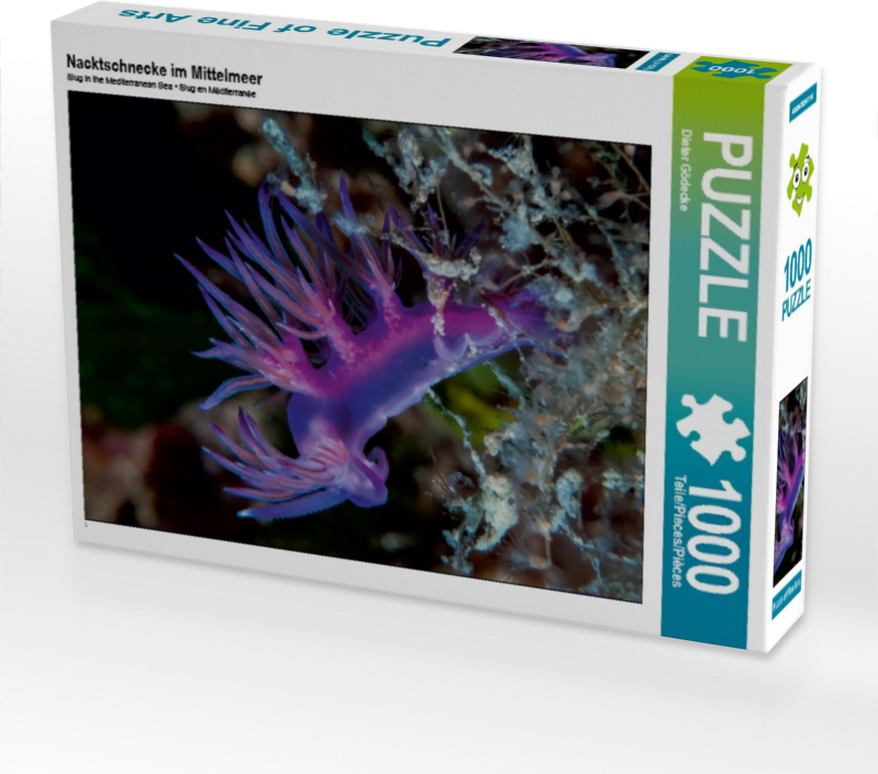Calvendo Nacktschnecke im Mittelmeer 1000 Teile Puzzle quer 640x480mm, Gödecke Dieter; 7404173